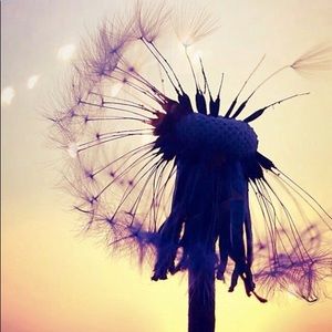 Meet your Posher, Isabelle